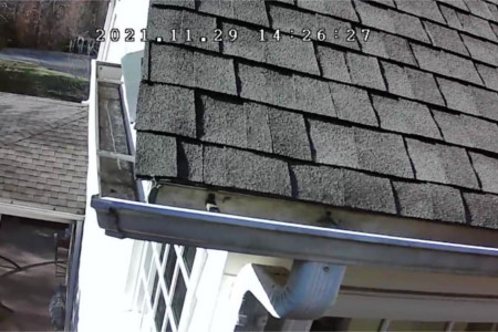 Gutter cleaning in earlysville va