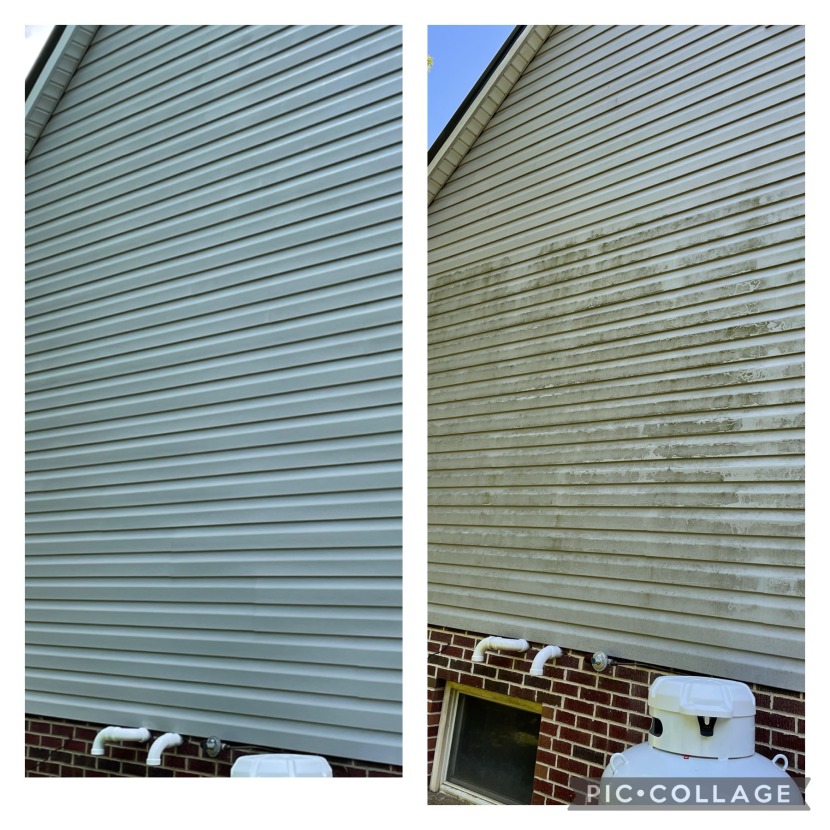 Algae oxidation removal ruckersville VA